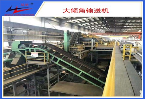 不朽情缘-大倾角皮带机Y