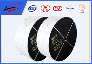 不朽情缘-聚酯运送带